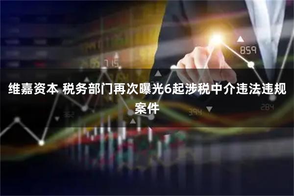 维嘉资本 税务部门再次曝光6起涉税中介违法违规案件